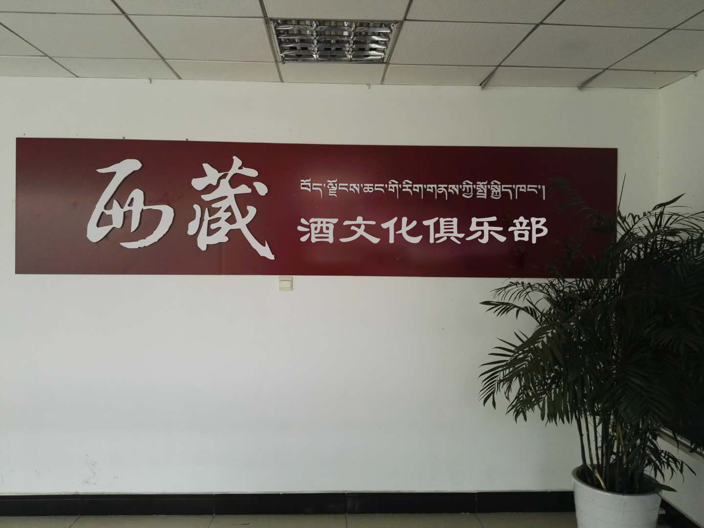 熱烈祝賀第一家藏佳純青稞酒俱樂部在長沙開業